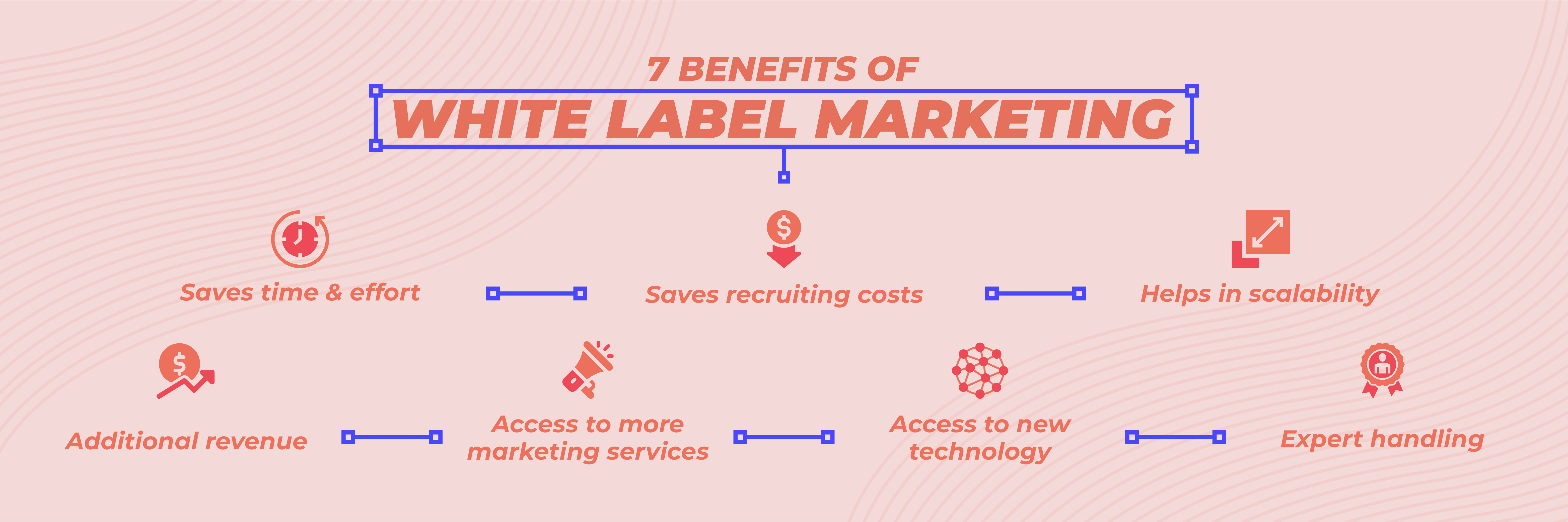 How to Use White Label Marketing Benefits, Services, And Tips [2024